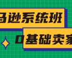 亚马逊系统班，专为0基础卖家量身打造，亚马逊运营流程与架构