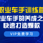 职业车手训练营：专业车手的养成之路，快速打造爆款（8节-无水印直播课）