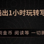 引流脚本实战课：1小时深入浅出视频实操讲解，教你0基础学会写引流脚本