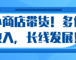 微信小商店带货，爆单多倍收入，长期复利循环！日赚300-800元不等