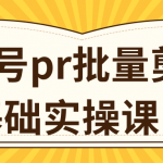 视频号PR批量剪辑0基础实操课，PR批量处理伪原创一分钟一个视频【共2节】