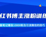 小红书博主涨粉训练营：一篇笔记爆涨10000粉及引流微信的技巧