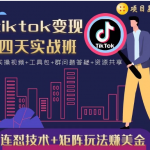 tiktok变现四天实战班，连怼技术+矩阵玩法赚美金！价值998元