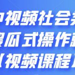 抖音中视频社会类玩法，傻瓜式操作就能赚钱【视频课程】