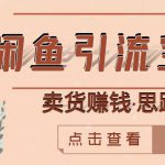 闲鱼引流宝妈粉+卖货赚钱一个月收益30000+（实操视频教程）