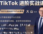 大山老师TikTok进阶实战课：账号详解，流量运营，实战变现，助力你成功出海