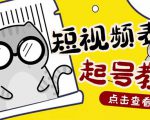 外面卖1288快手抖音表情包项目，按播放量赚米【内含一万个表情包素材】