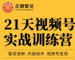 张萌21天视频号实战训练营，裂变涨粉、内容创作、视频号变现 价值298元