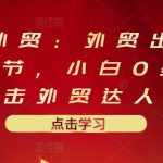 业仔外贸：外贸出口详解30节，小白0基础进击外贸达人 价值666元