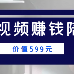 中视频赚钱陪跑，卖中视频账户赚钱收益陪跑项目（价值599元）