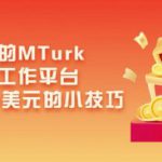 利用正规的MTurk微型众包工作平台，月赚1100美元的小技巧