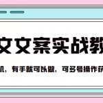 抖音图文文案实战教学，一部手机，有手就可以做，可多号操作获取收益