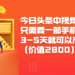 今日头条中视频搬运项目，只需要一部手机3-5天就可以产生利润（价值2800元）