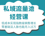 16堂私域流量池经营课：低成本实现指数级销售增长，零基础没人脉也能月入过万