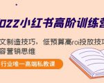 2022小红书高阶训练营：爆文制造技巧，低预算高roi投放技巧，内容营销思维