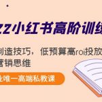 2022小红书高阶训练营：爆文制造技巧，低预算高roi投放技巧，内容营销思维