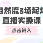 自然流3场起爆直播实操课 双标签交互拉号实战系统课