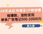 28天小红书博主IP特训营《第9期》做爆款，涨粉变现 单条广告笔记500-10000