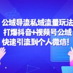 公域导流私域流量玩法：打爆抖音+视频号公域，快速引流到个人微信！