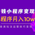 抖音赚钱小程序变现训练营：小程序月入10w+各类玩法运营技巧变现