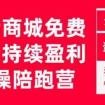 抖音商城搜索持续盈利陪跑成长营，抖音商城搜索从0-1、从1到10的全面解决方案