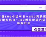 价值980小红书日入300突破限制无限私信日+100创业粉项目适合所有行业