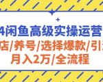 2024闲鱼高级实操运营课程：开店/养号/选择爆款/引流/月入2万/全流程
