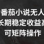 抖音番茄小说无人直播，长期稳定收益高，可矩阵操作【揭秘】