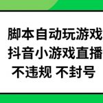 脚本自动玩游戏，抖音小游戏直播，不违规不封号可批量做【揭秘】