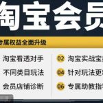 淘宝会员【淘宝所有课程，全面分析对手】，初级到高手全系实战宝典