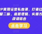 小红书IP变现运营私教课，打通红书IP变现任督二脉，底层逻辑、实操方法、战训结合