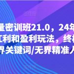 线上流量密训班21.0，24年下半年-无界红利和盈利玩法，终极优化/无界关键词/无界精准人群