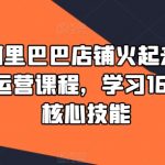 90天阿里巴巴店铺火起来，1688高级运营课程，学习1688运营核心技能