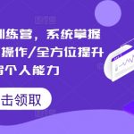 短视频实战训练营，系统掌握账号运营精细操作/全方位提升创作者个人能力