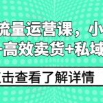 小红书流量运营课，小红书搞流量+高效卖货+私域转化