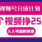 视频号分成计划，一个视频挣2500+，人人可做的赛道【揭秘】