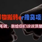 得物搬砖撸货项目?掰下数据，我给你们说说顶层思维【揭秘】