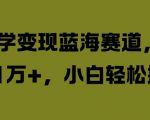 国学变现蓝海赛道，月入1W+，小白轻松操作【揭秘】