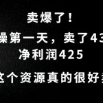 这个资源，需求很大，实操第一天卖了43份，净利润425【揭秘】