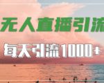 抖音快手视频号全平台通用，无人直播引流法，超暴力引流1000+高质量精准创业粉【揭秘】