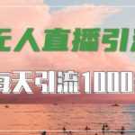 抖音快手视频号全平台通用，无人直播引流法，超暴力引流1000+高质量精准创业粉【揭秘】