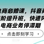 2024年电商必修课，抖音商家直播操盘手进阶提升班，快速突破直播电商业务停滞期