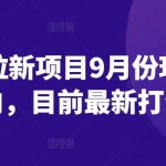 短剧拉新项目9月份玩法方向，目前最新打法