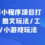 抖音快手小程序项目打造课程，图文玩法/工具玩法/小游戏玩法