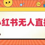 小红书无人直播，​最新小红书无人、半无人、全域电商