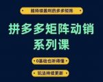 拼多多矩阵动销系列课，能持续盈利的多多矩阵，0基础也听得懂，玩法持续更新