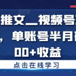 小说推文—视频号玩法实操，单账号半月破5000+收益