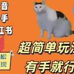 超简单玩法，有手就行，靠猫咪视频日入500+【揭秘】