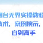 万相台无界实操教程，全新技术，案例演示，从小白到高手