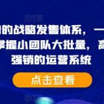 2024靠谱的战略发售体系，一套完整的助IP们，掌握小团队大批量，高效率，0 强销的运营系统